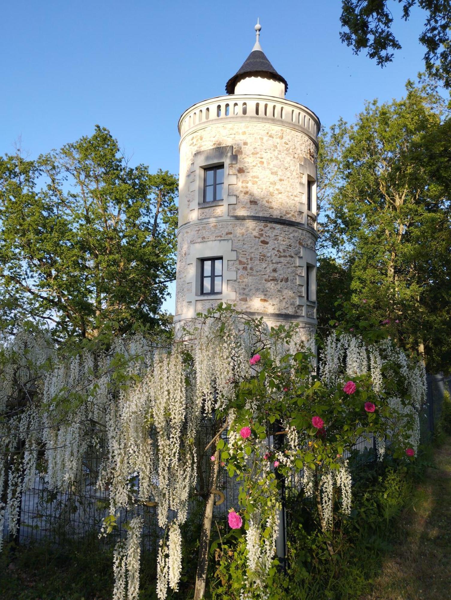 Chambres D'Hotes La Tour De Bellevue Saumur Eksteriør billede